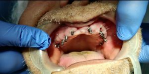 WhatsApp Image 2021-02-02 at 22.57.36 (1)